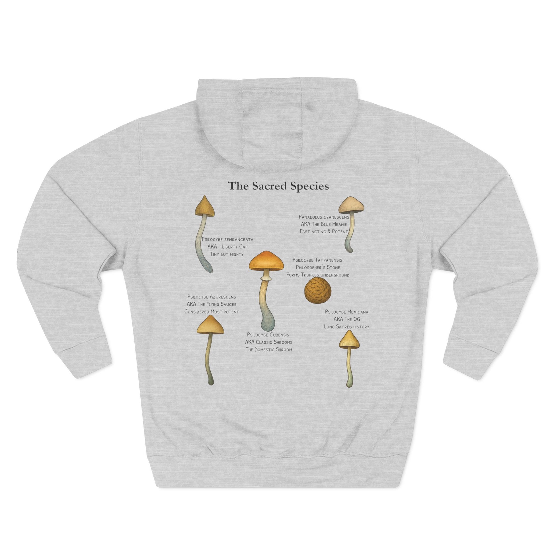 “The Sacred Species” Hoodie – Heather Gray
