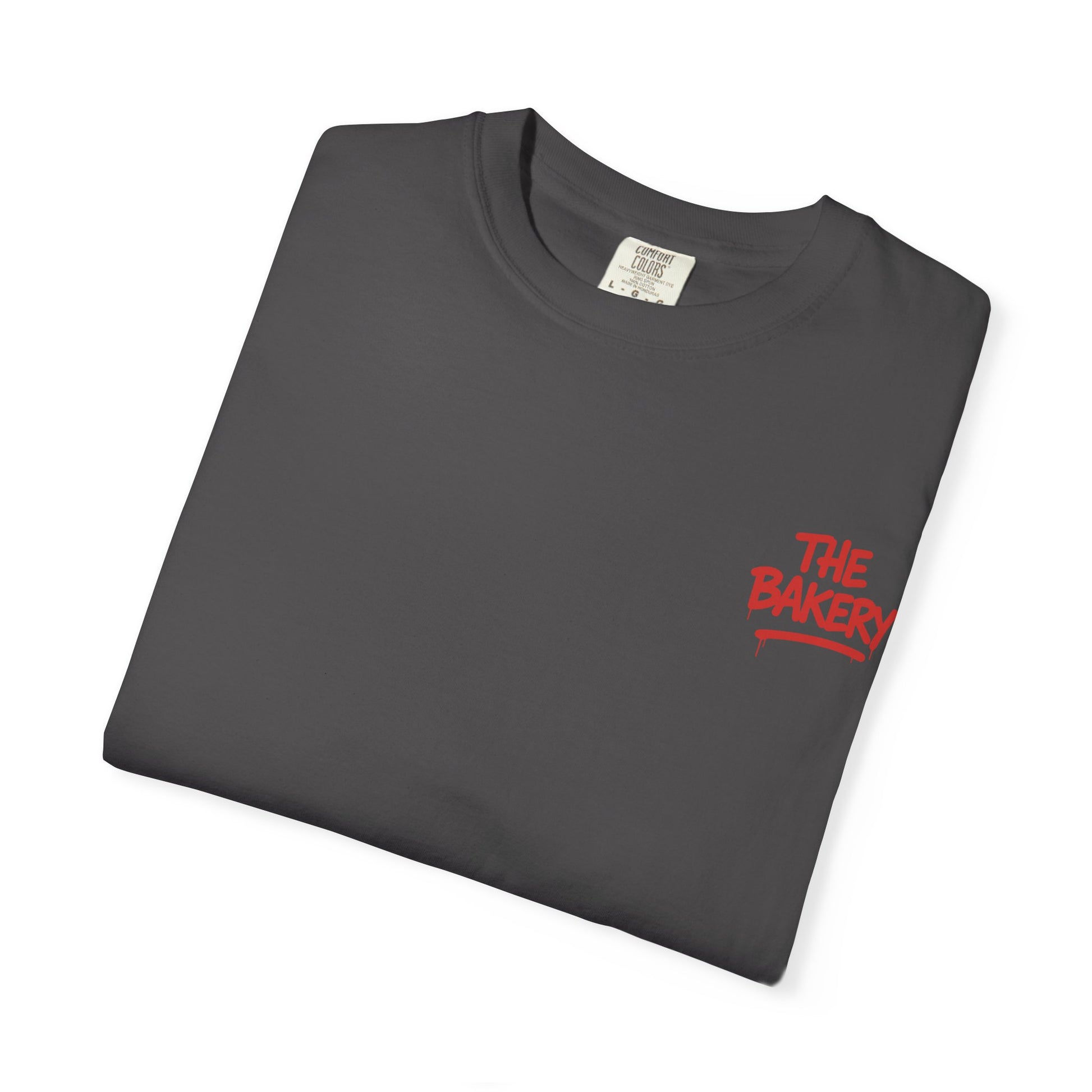 “Fuck the Establishment” Tee – Graphite